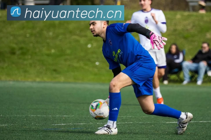 多媒体互动体验